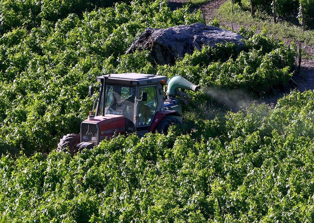 épandage de pesticides dans une vigne