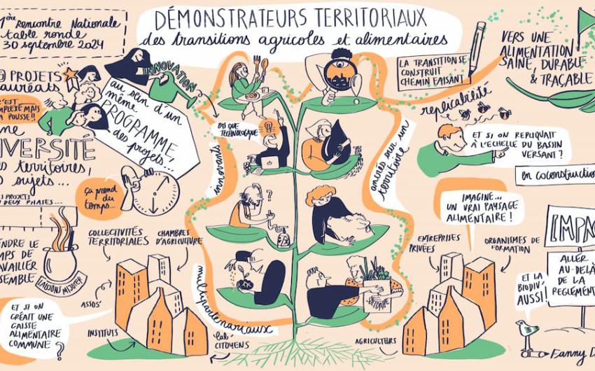 Facilitation graphique