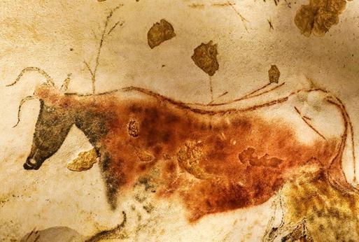 Art pariétal Grotte de Lascaux