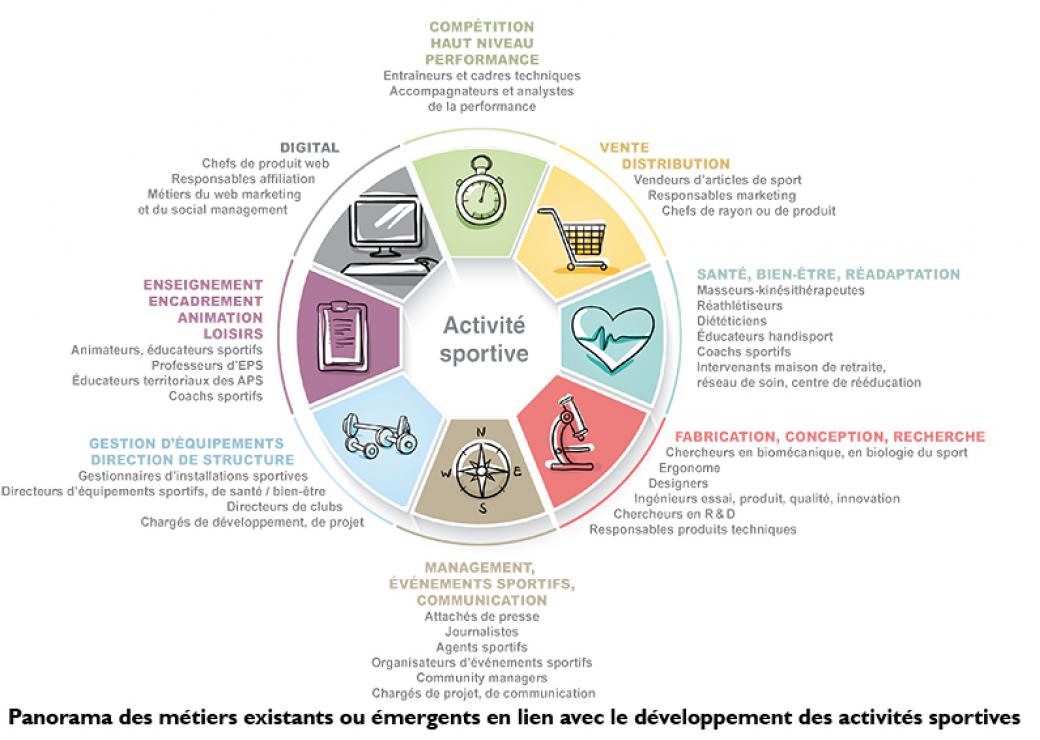 Les Métiers Du Sport : Un Secteur En Croissance Mais En Manque De Cohérence