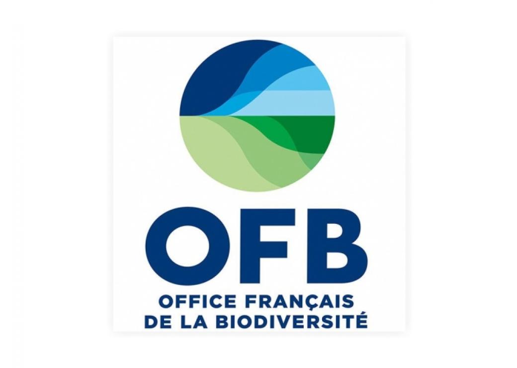 logo OFB