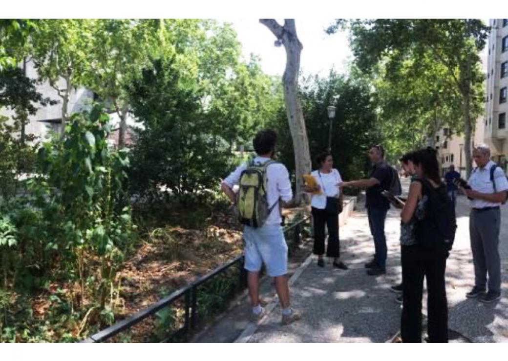 Installations de monitoring des arbres pour le rafraîchissement de la ville, avenue Garibaldi, Lyon.