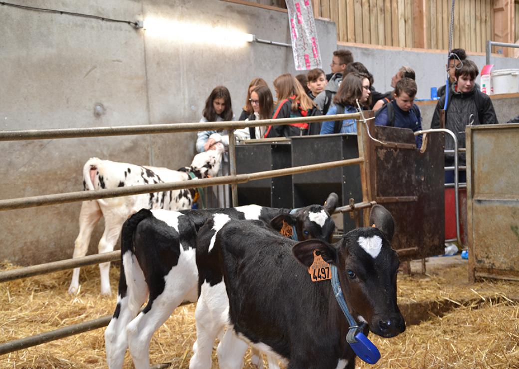 sensibiliser les jeunes aux métiers de l’agriculture