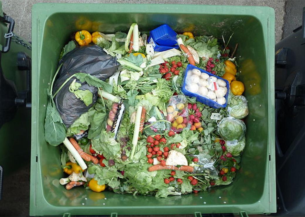 gaspillage alimentaire poubelle nourriture