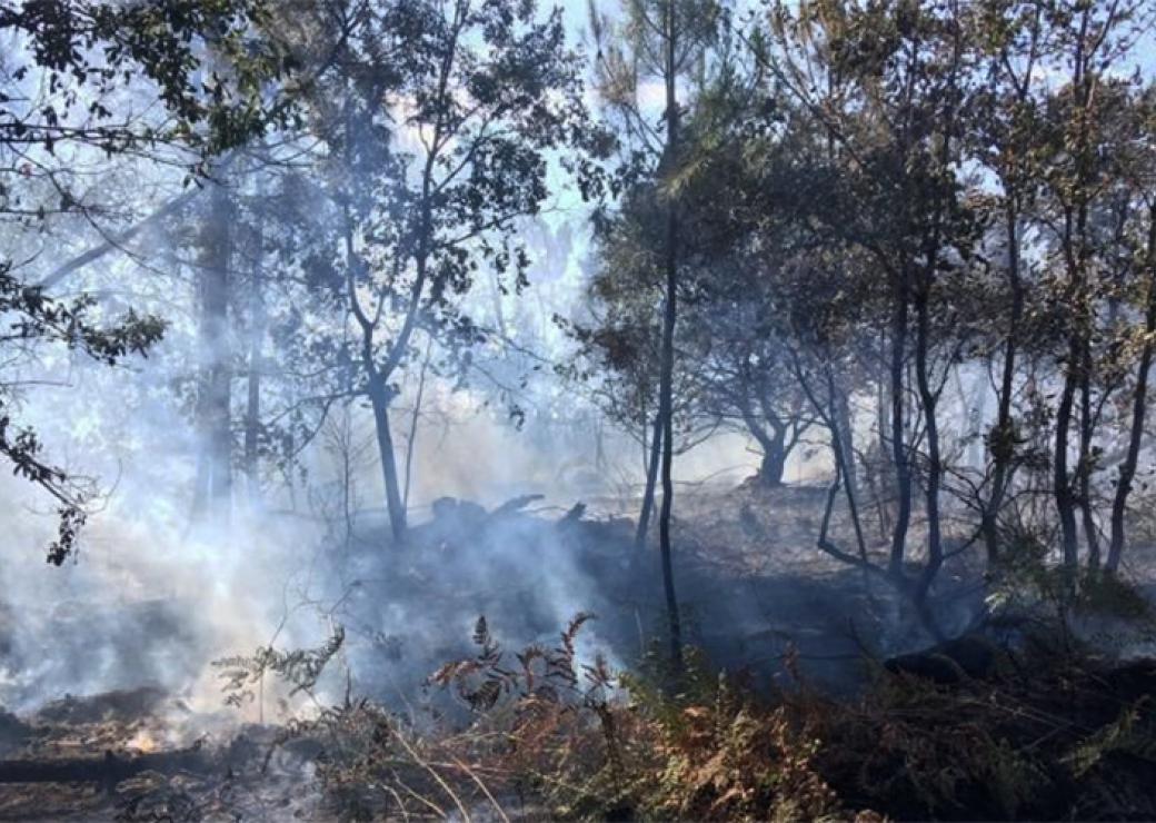 incendie forêt seine maritime