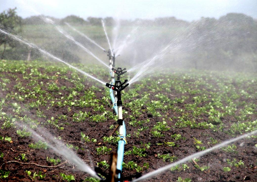 Irrigation champs