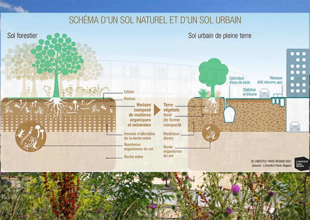 Documents D’urbanisme : Une étude Souligne La Nécessité D’une ...