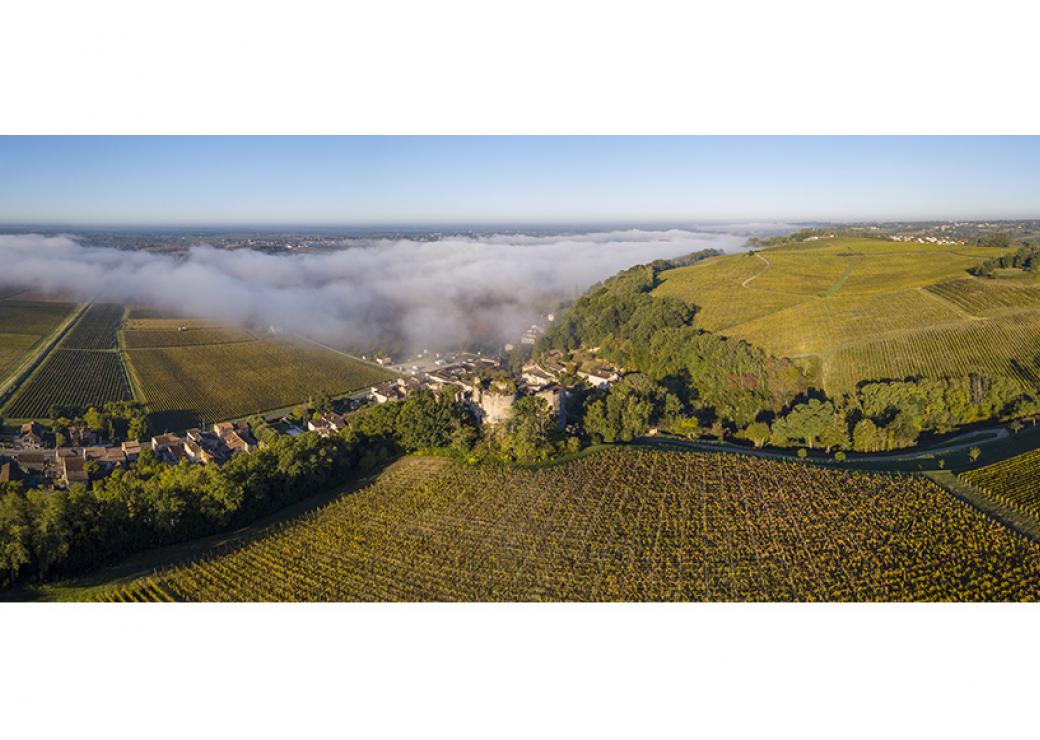 Vue aérienne panoramique d'un paysage vallonné, où l'on distingue des vignes et un village