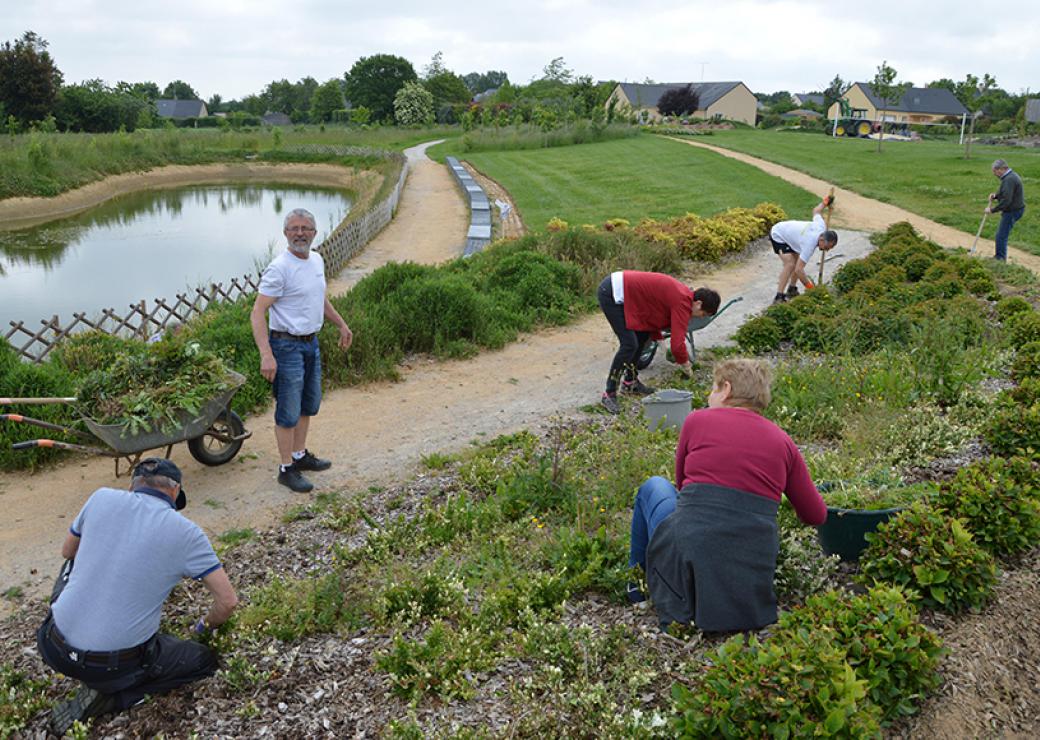 La photo plan large montre 6 personnes en train de travailler la terre d'un espace vert, dans un jardin public où l'on voit aussi un étang sur le côté droit et des maisons en arrière plan