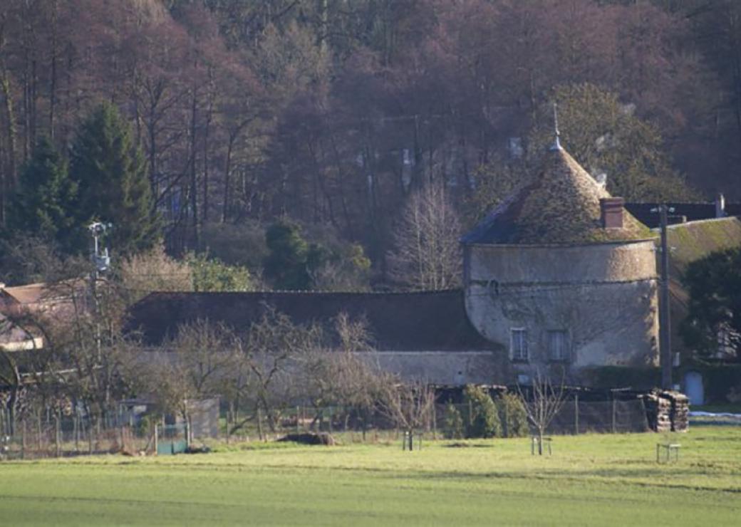 Vue plongeante sur un château médiéval entouré d'une foret en hiver