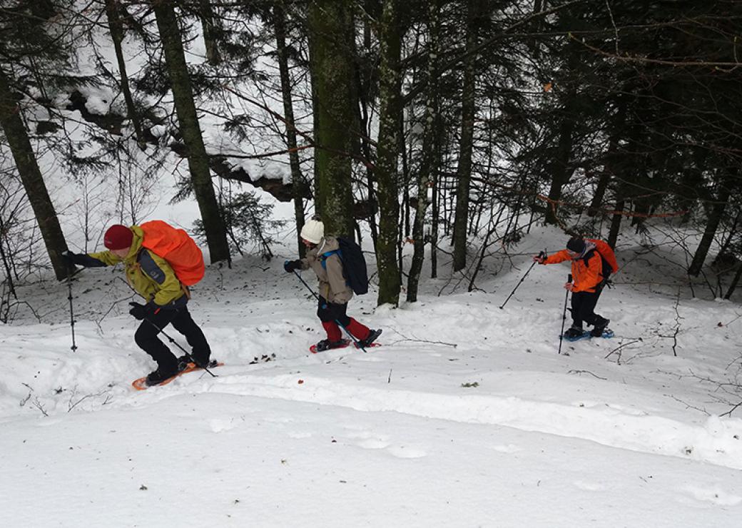 Randonnée en raquette dans les Vosges