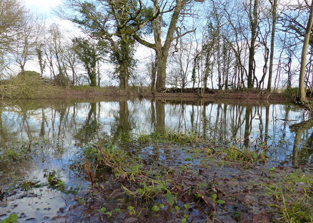 biodiversité