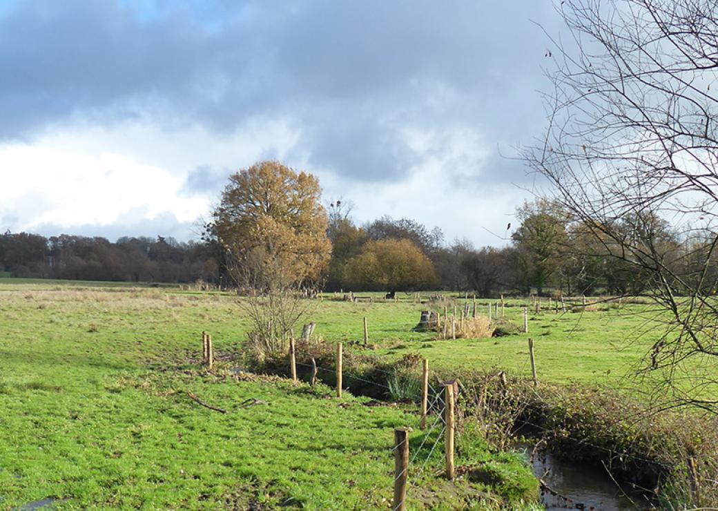 plan large d'un paysage de prés. Au milieu coule un ruisseau. Au fond, des arbres de faible hauteur.