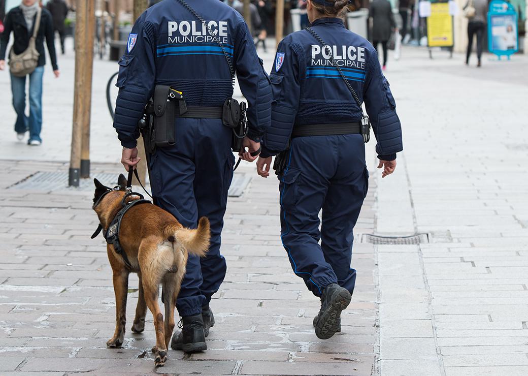 Le décret sur les brigades cynophiles de police municipale publié