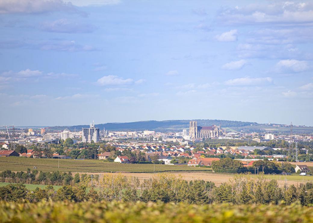 Depuis les champs, vue panoramique sur la ville de Reims