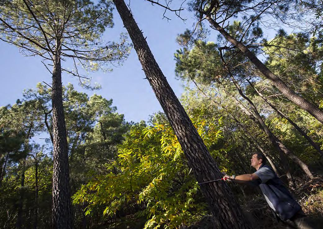 Assises de la forêt et du bois : un événement salué, mais les