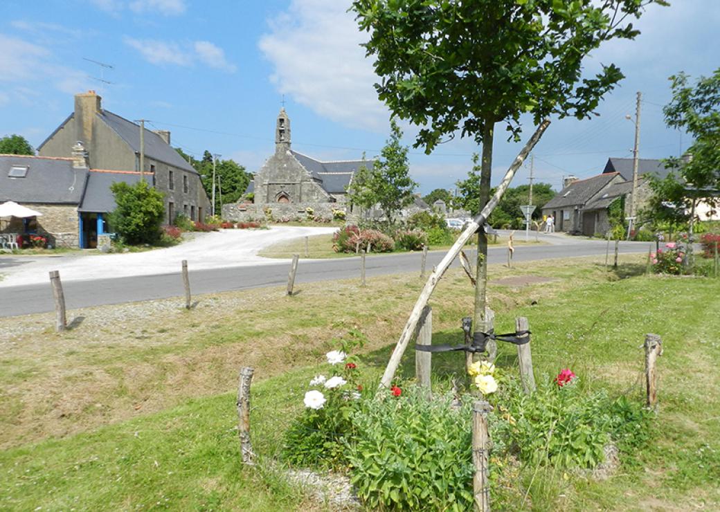 Vue générale d'un hameau de maisons de pierres grises. Au premier plan un arbre au pied fleuri