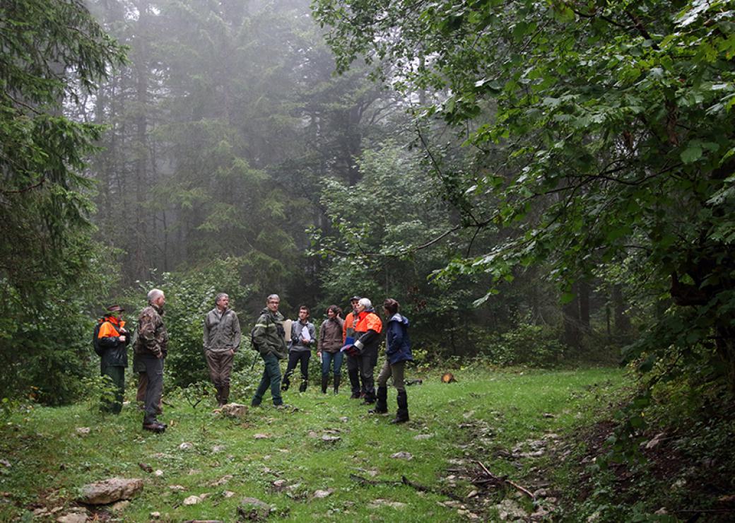 Dans un forêt brumeuse, des personnes sont regroupées