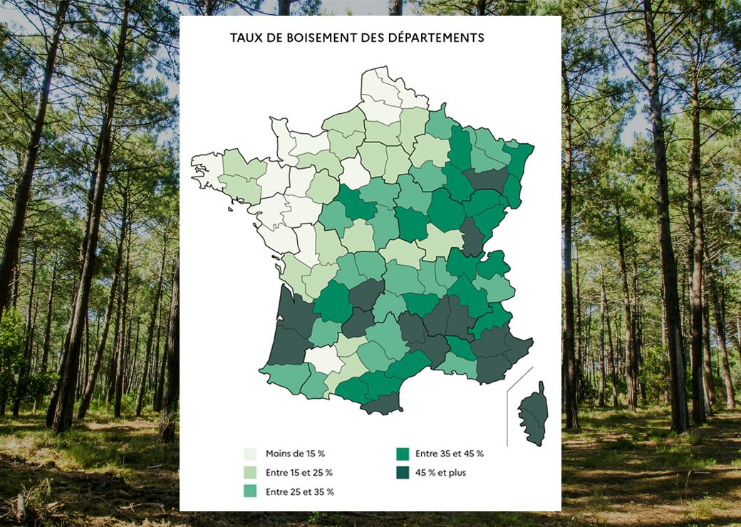 Forêt, massif forestier et bois 