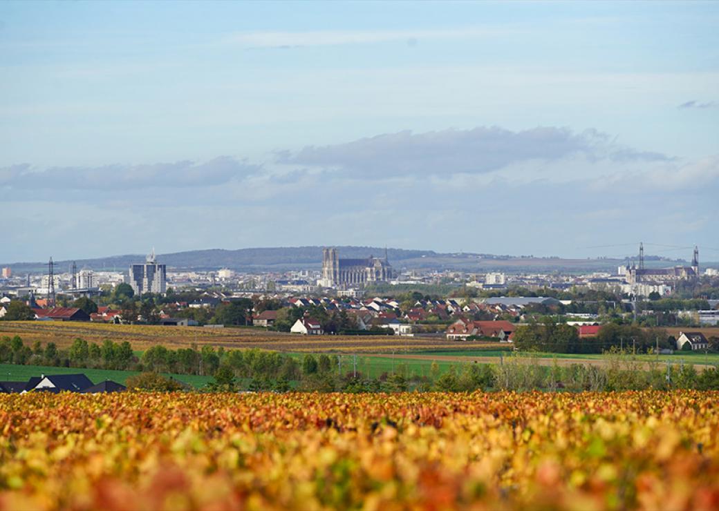 Photo large d'une ville prise depuis une campagne automnale