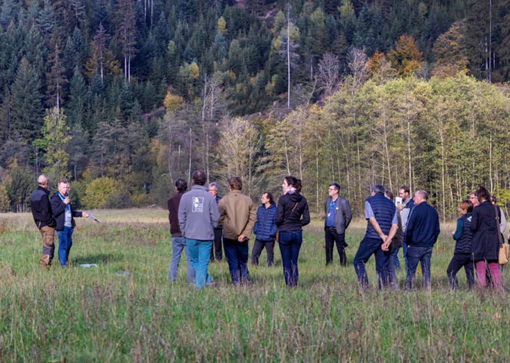 Dans une clairière entourée de résineux, un groupe de personnes écoute deux personnes