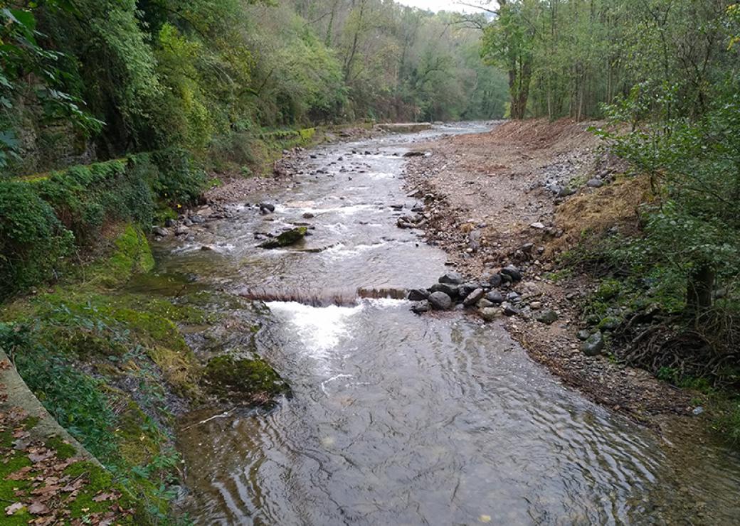 Vue d'une rivière dont les berges sont naturelles et couvertes de végétation