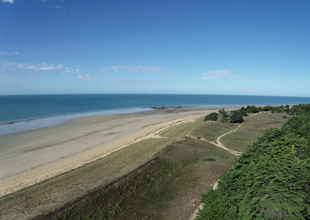 Vue aérienne de la mer, la plage et les dunes où la végétation commence à s'implanter