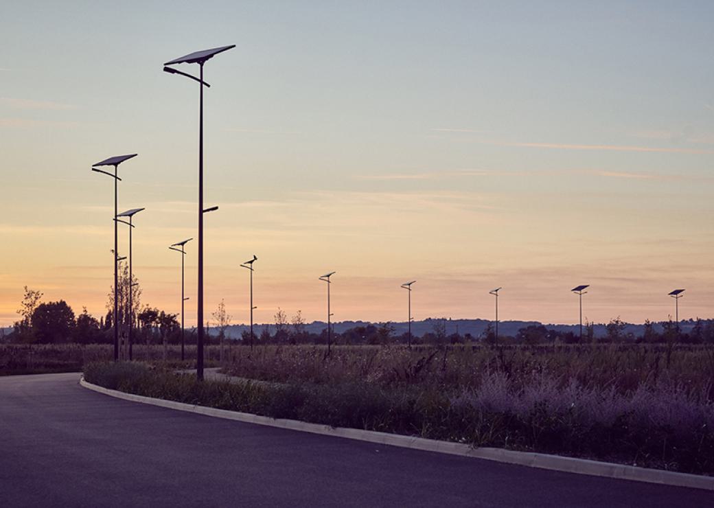 Des pilonnes implantés à distance régulière sur le bord d'une route de campagne