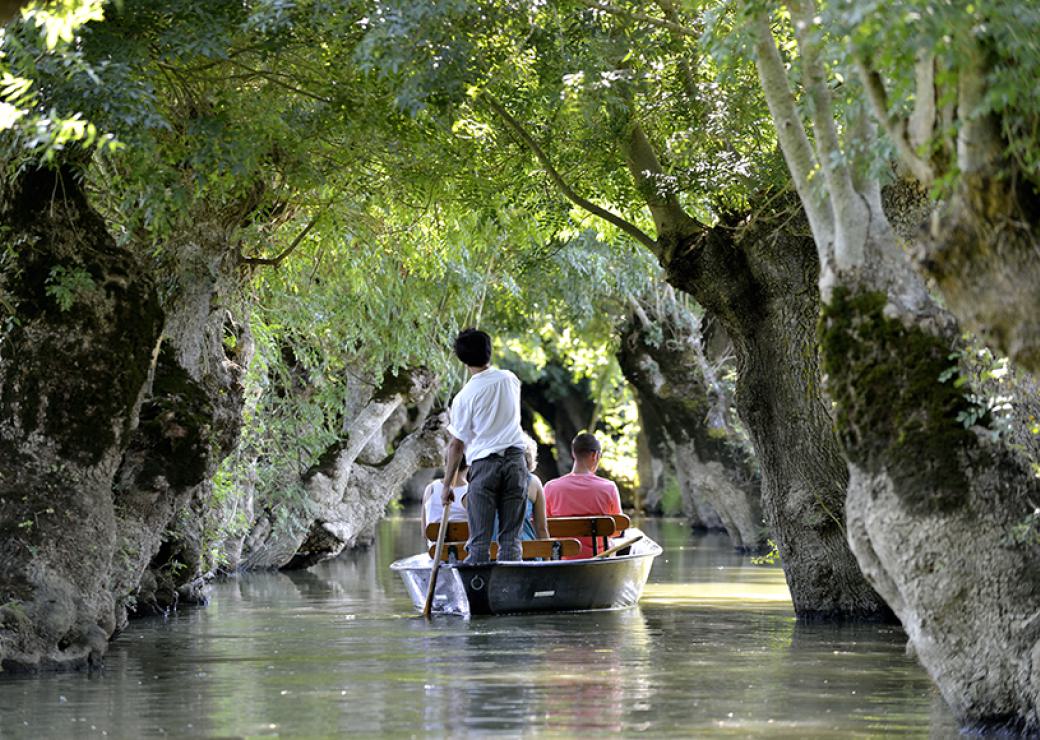 Sur un cours d'eau ombragé par de la végétation, une barque navigue, guidée par un homme aidé d'une perche