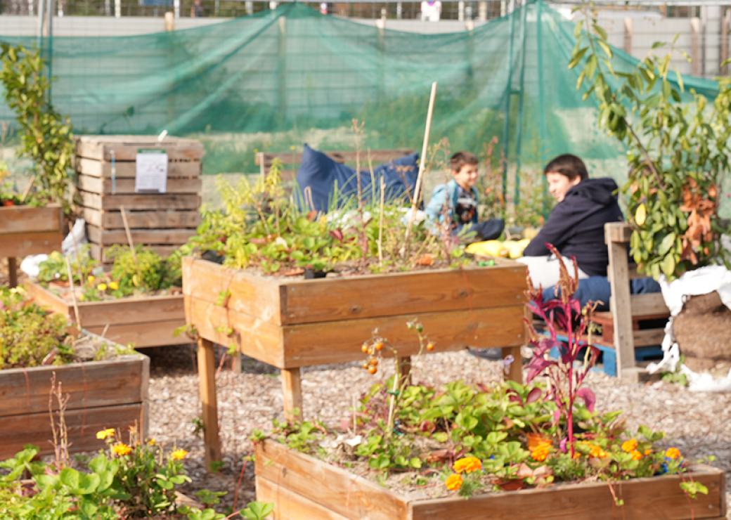 Deux enfants s'affairent au pied de plantations dans un jardin composé de carrés cultivés en hauteur