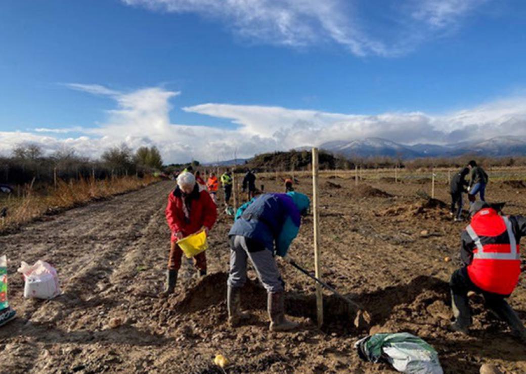 En hiver, une dizaine de personnes s'affairent dans un champ labouré