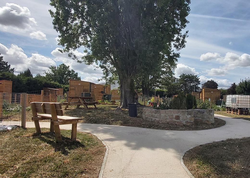 Un gros arbre est entouré d'un chemin. A droite, un banc, au fond, des cabanons de bois