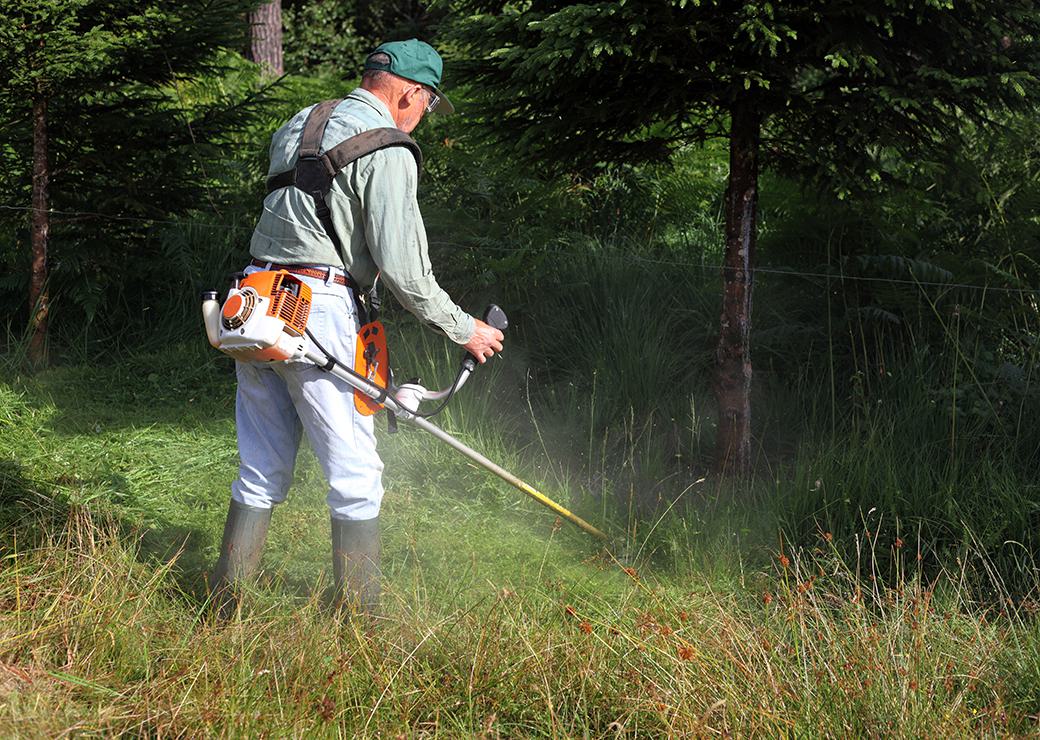 un homme débroussaille en bordure de foret 