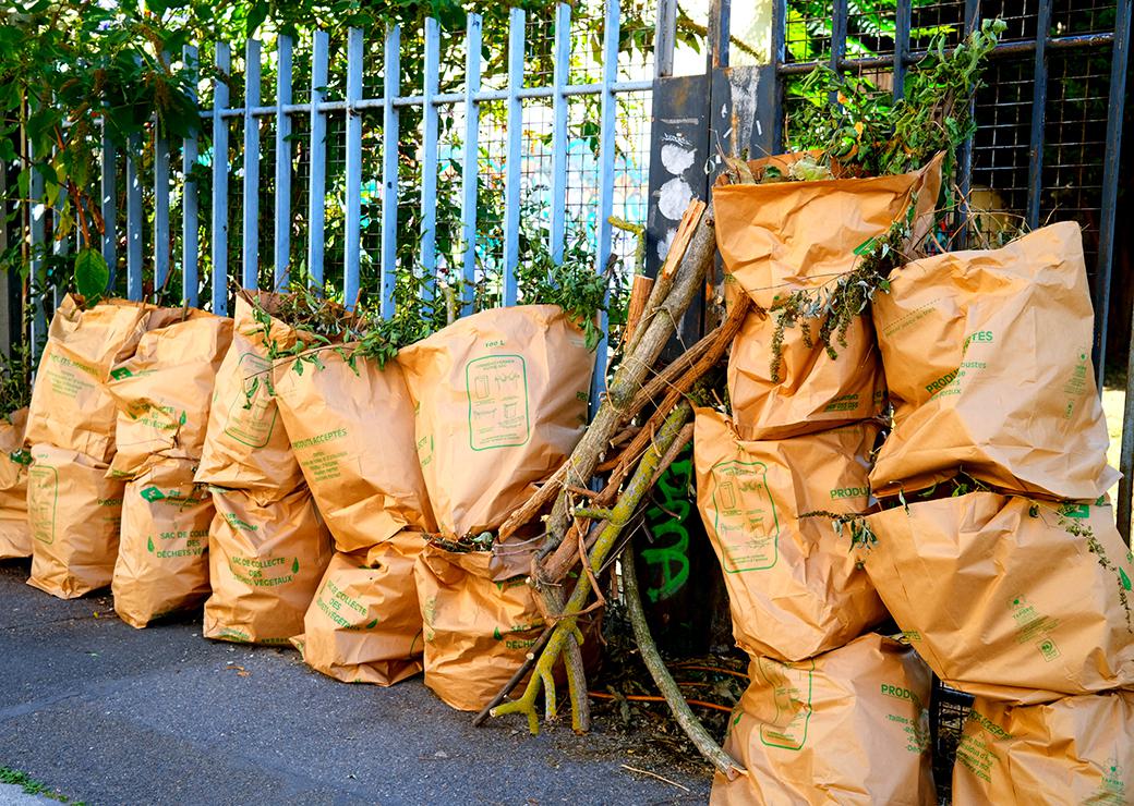 déchets verts 