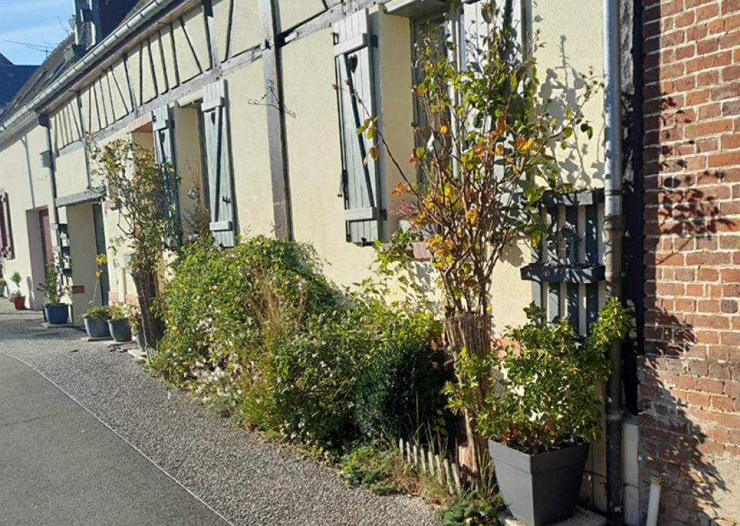 Dans une rue, le long des maisons, des espaces de plantation à même le trottoir accueillent des plantes de diverse taille