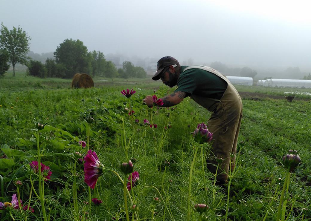 Un homme dans un champs de fleurs un jour de brume