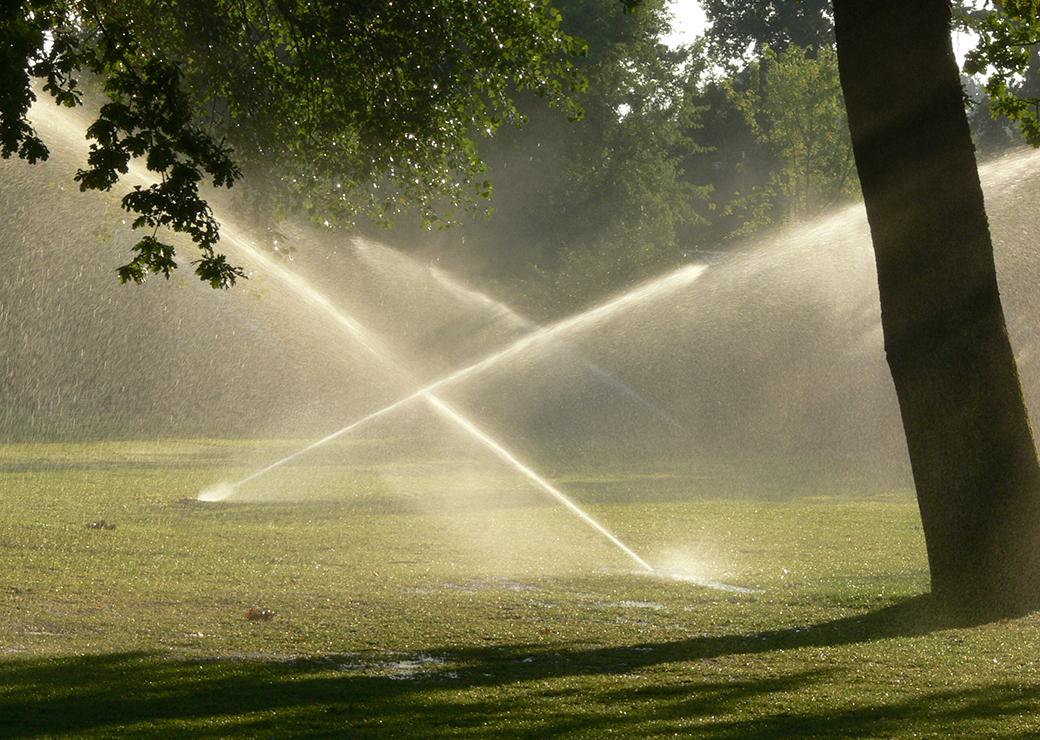 Arrosage dans un jardin public