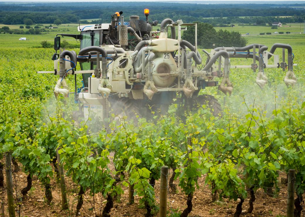 épandage de pesticides dans une vigne