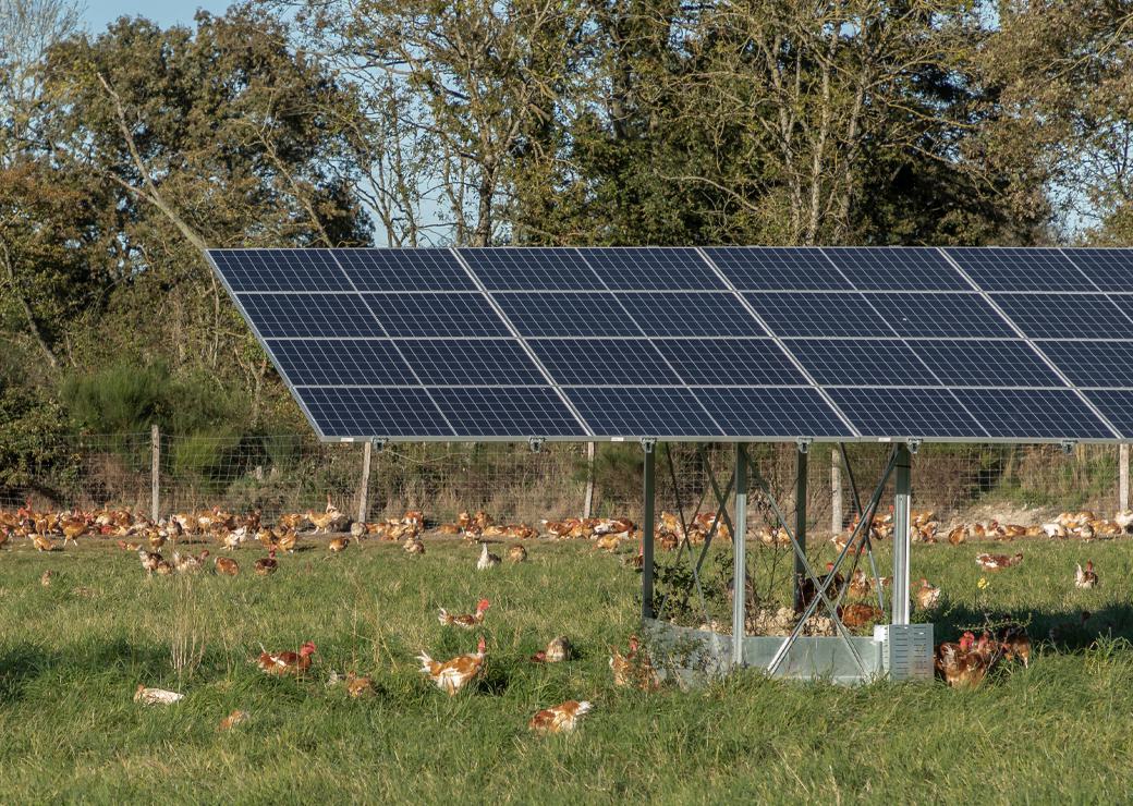 panneaux solaires ferme