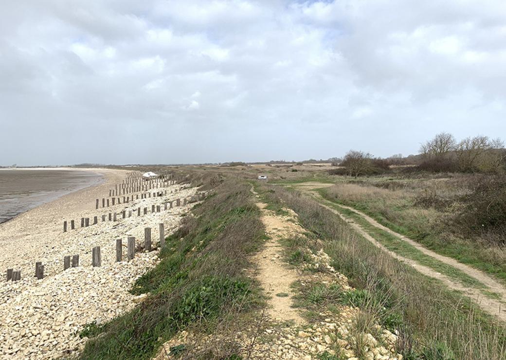 La plage et sa dune enherbée