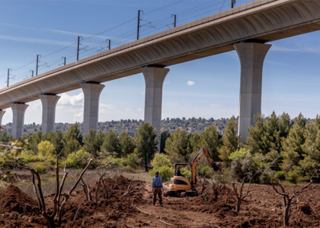 Viaduc sous lequel des oliviers sont en cours de plantation