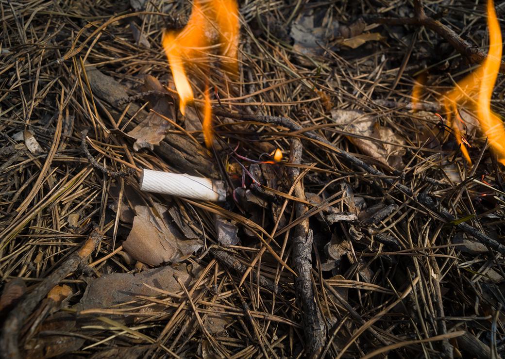 mégot jeté en foret avec départ de feu 