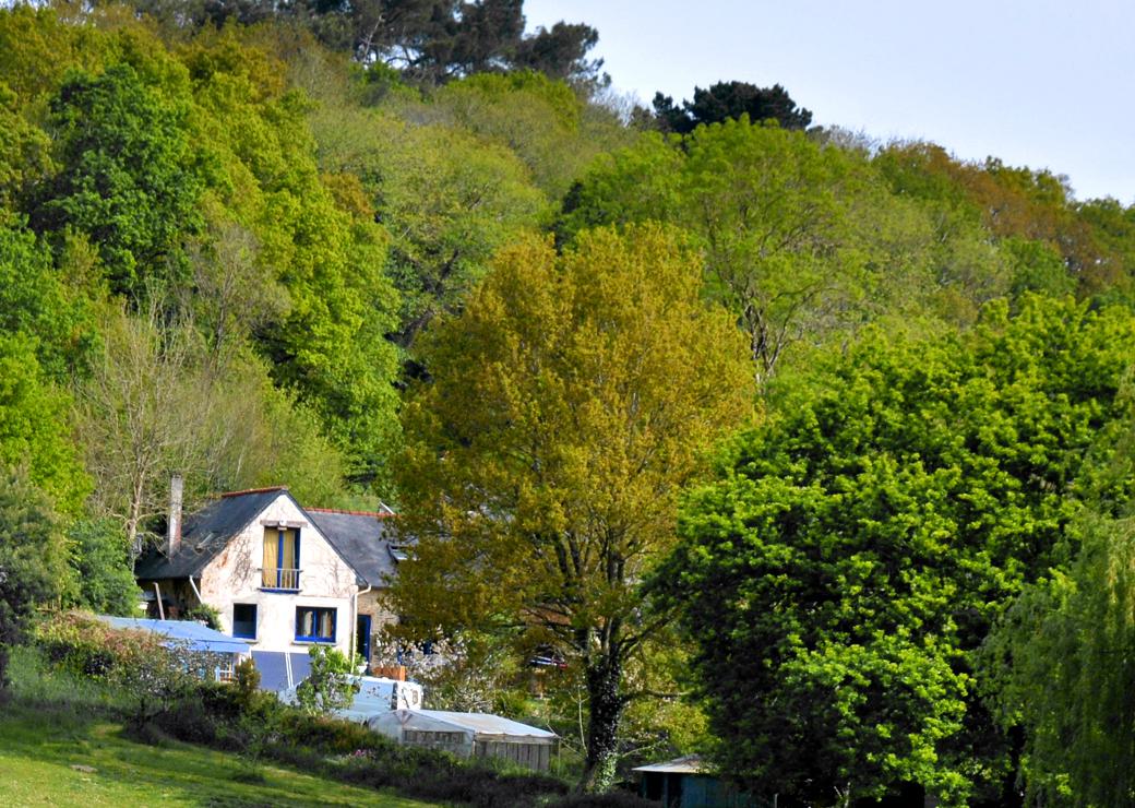 maison en bordure de foret 