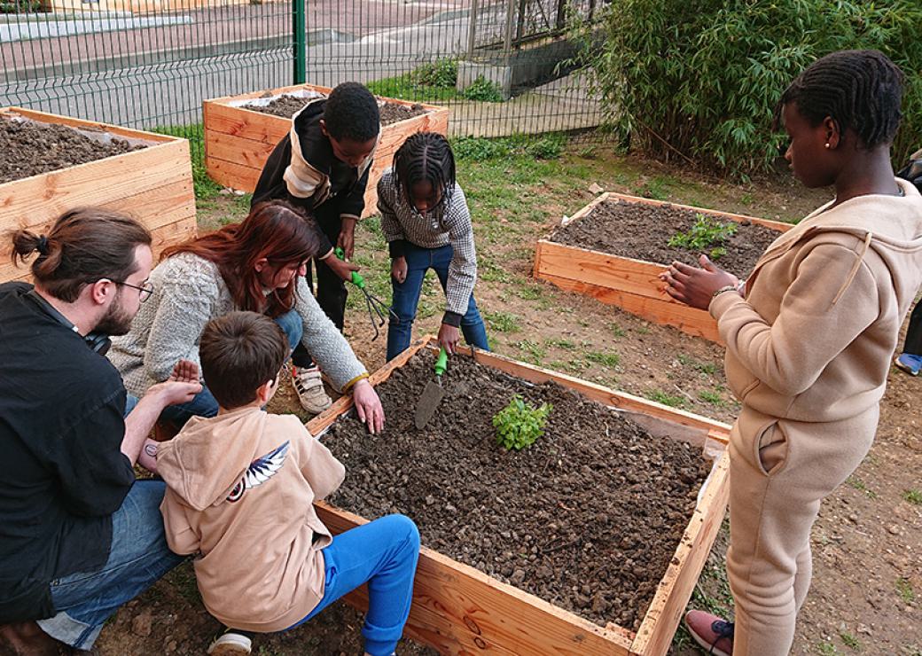 Des enfants s'affairent autour d'un bac de plantations