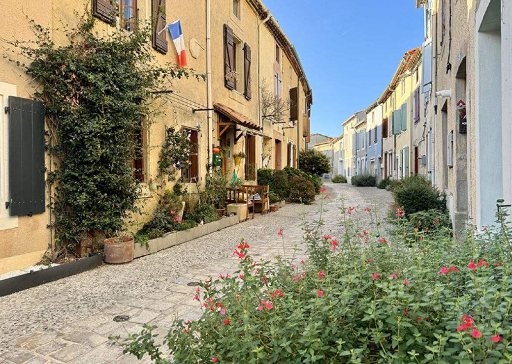 Une rue pavée, de la végétation en pied de maison