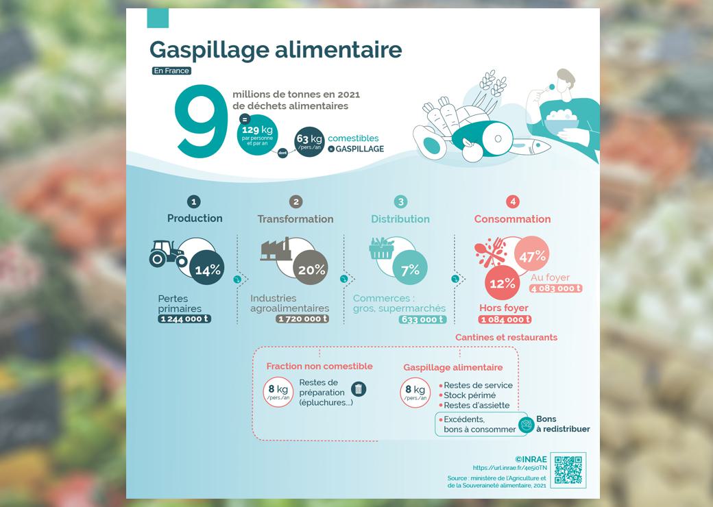 infographie