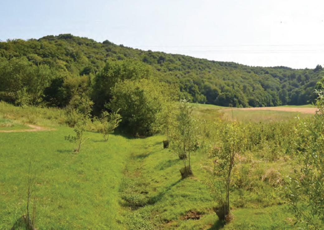 Paysage vert, avec un boisement au loin et un fossé au centre