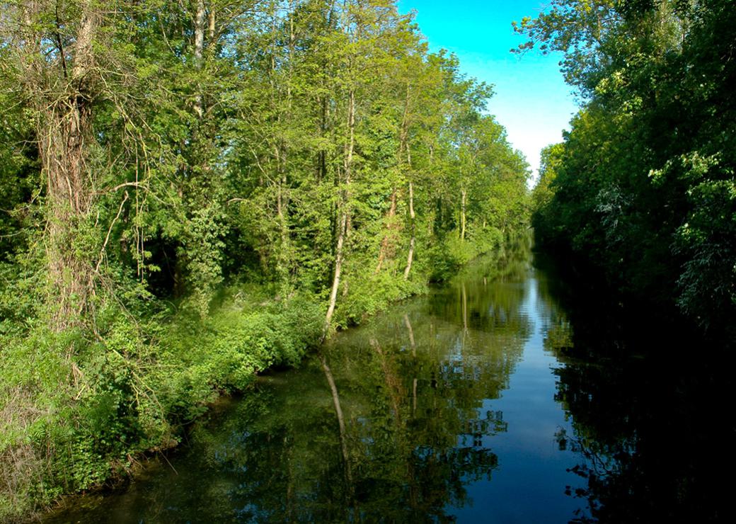 canal