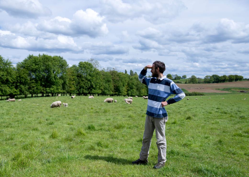 Vers une alimentation durable dans les territoires