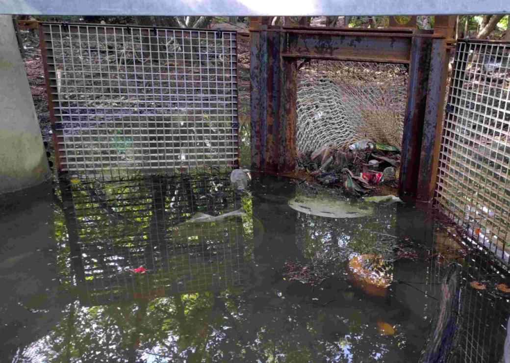 Sur le bord d'une petite étendue d'eau, un filet retient des déchets